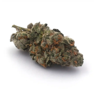 Comprar North Thunderfuck strain