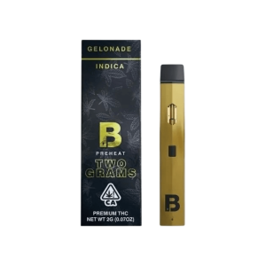 Blinkers Disposable Vape 2 Gram